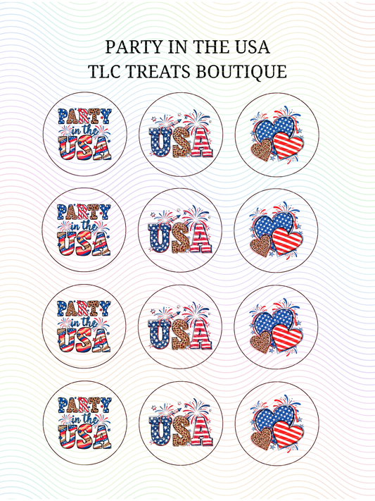 Party In the USA
