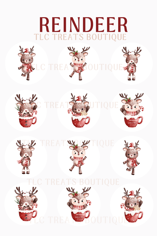 Reindeer