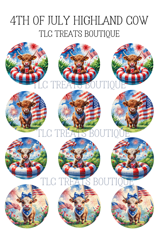 4th of July Highland cow