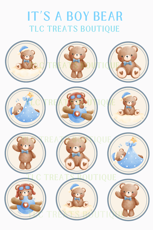 It's a BOY bear
