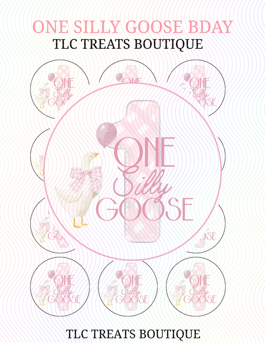 One silly goose Bday