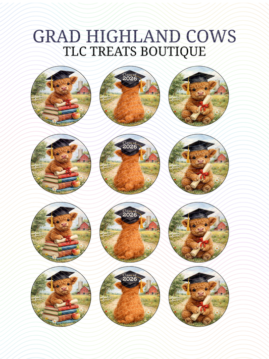 Grad Highland Cows